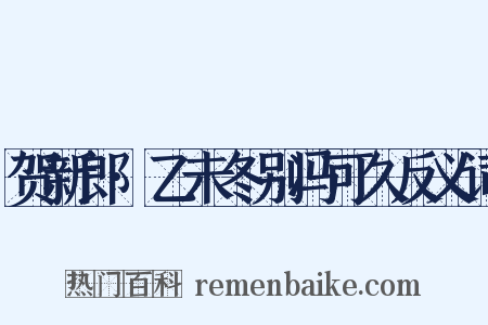 贺新郎·乙未冬别冯可久反义词是什么意思的图片
